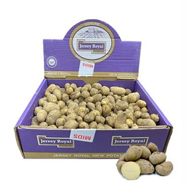 First Jersey Royals arrive at Sainsbury's, Article