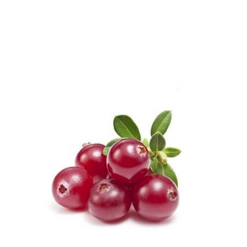 Fresh cranberries near me discount