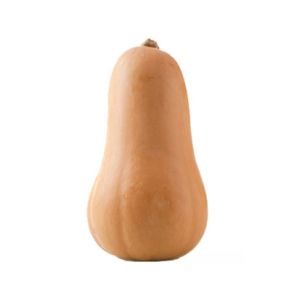 Butternut Squash