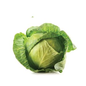 Green Cabbage