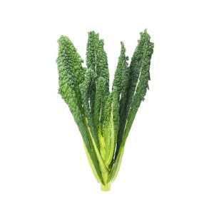 Cavolo Nero