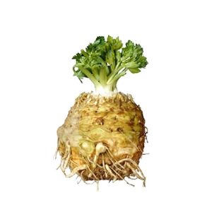 Celeriac