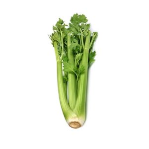 Celery
