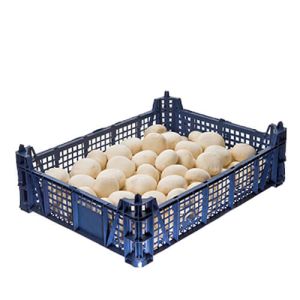 Closed Cup Mushrooms