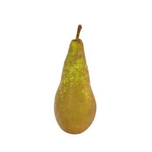 Conference Pears