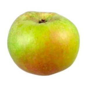 Cooking Apples United Kingdom