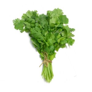 Coriander
