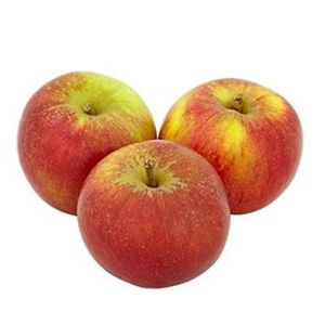 Coxs Apples United Kingdom