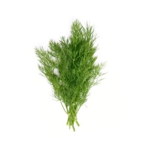 Dill