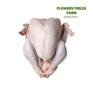 Turkey Whole (White Turkey)