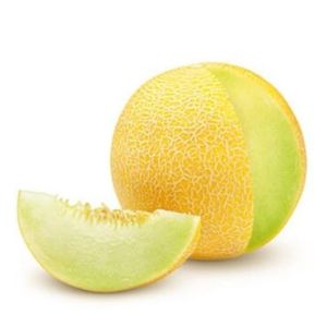 Galia Melon