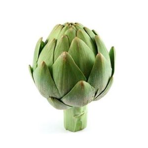 Globe Artichokes