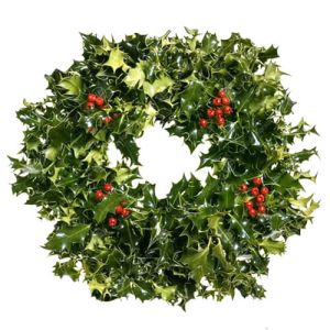 Christmas Holly Wreath