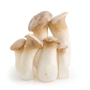 King Oyster Mushrooms