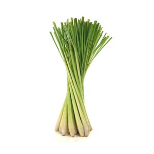 Lemon Grass