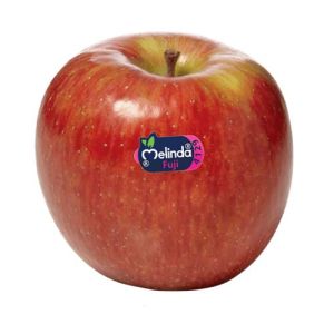 Melinda Fuji Apple
