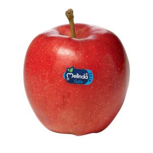 Melinda Gala Apple
