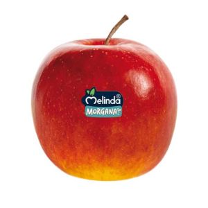 Melinda Morgana Apple Italy