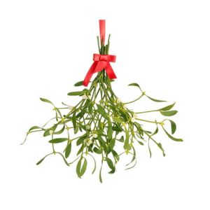 Mistletoe
