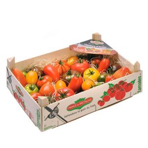 Prince de Bretange Heritage Tomatoes