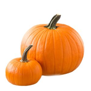Little & Large Pumpkin