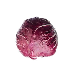 Radicchio