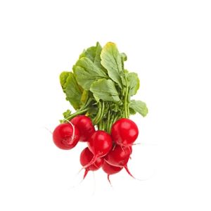 Radish
