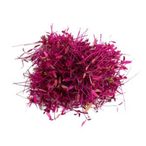 Red Amaranth