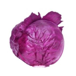Red Cabbage
