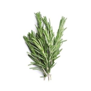 Rosemary
