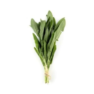 Fresh Sage
