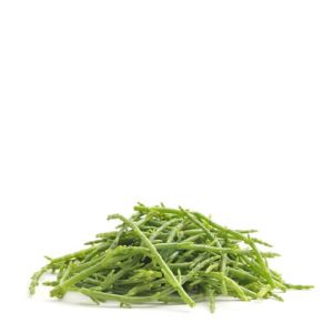 Samphire