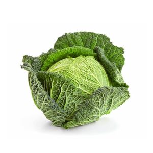 Savoy Cabbage