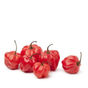 Scotch Bonnet Chillies