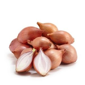 Shallot Onions