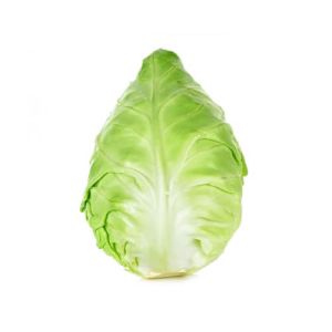 Sweetheart Cabbage