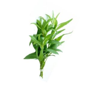 Tarragon