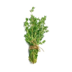 Thyme