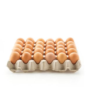 Tray of Eggs