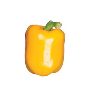 Yellow Pepper