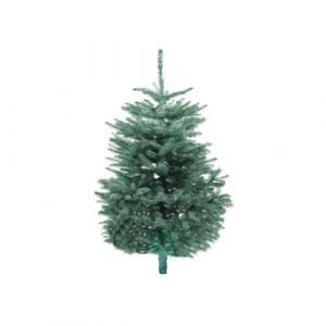 Blue Spruce 6ft Christmas Tree