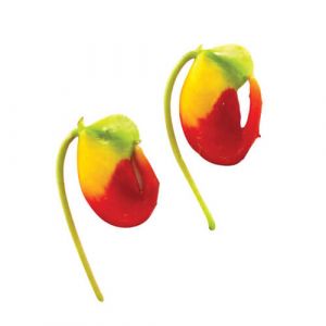 Congo Cockatoo (Impatiens) Edible Flowers