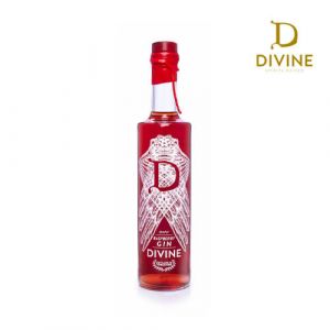 Divine Raspberry Gin