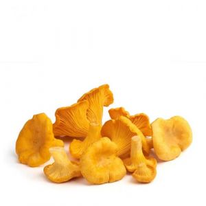 Girolle Mushrooms