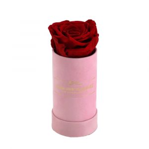 Deluxe Vibrant Red Rose with Luxury Baby Pink Suede Box