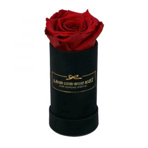Deluxe Vibrant Red Rose with Luxury Black Suede Box