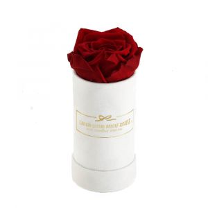 Deluxe Vibrant Red Rose with Luxury White Suede Box