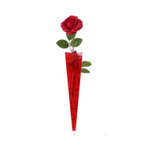 Royal Red Rose