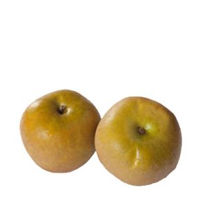 Russett Apples
