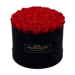Luxury Vibrant Red Roses with Black Suede Box (Extra Large)
